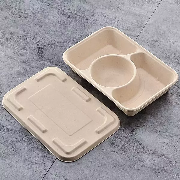 biodegradable food containers
